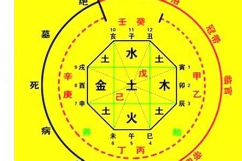 八字命盤姻緣免費|生辰八字算命、五行喜用神查詢（免費測算）